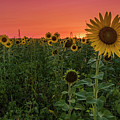 Missouri Sunset