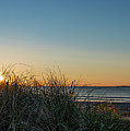 Old Orchard Sunrise